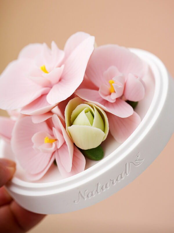 Natural Phalaenopsis-Hand Pressed Flower Diffuser-Pink
