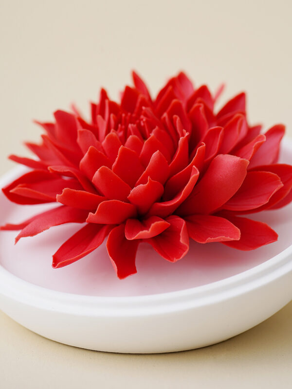 Natural Dahlia - Hand Pressed Flower Diffuser