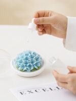 Natural Hydrangea - Hand Pressed Flower Diffuser