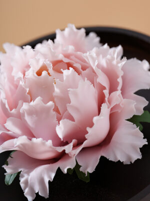 1国色芳华DSC06186