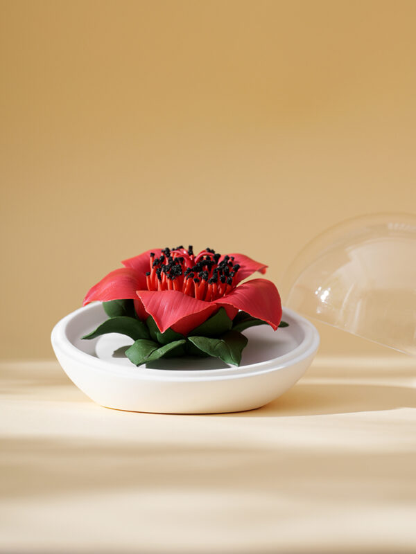 Natural Kapok flower - Hand Pressed Flower Diffuser