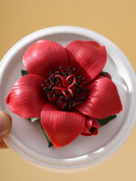 Natural Kapok flower - Hand Pressed Flower Diffuser