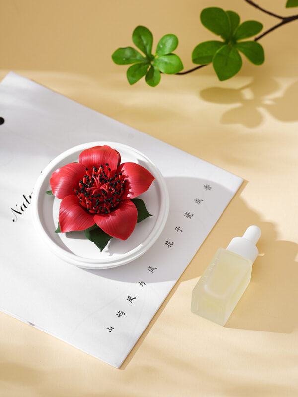 Natural Kapok flower - Hand Pressed Flower Diffuser