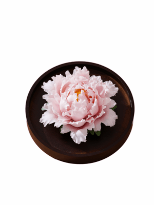 Natural The National Beauty in Full Bloom - Peony