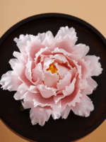 Natural The National Beauty in Full Bloom - Peony