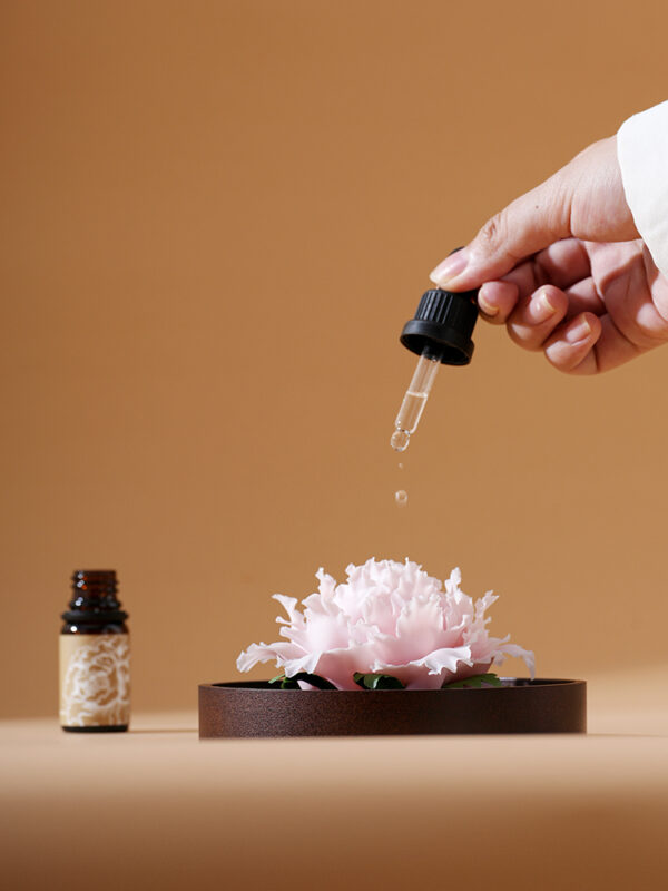 Natural The National Beauty in Full Bloom - Peony