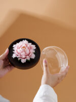 Natural The National Beauty in Full Bloom - Peony