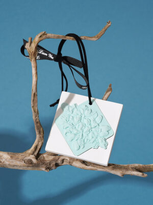 夏有杜桑DSC03388