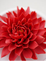 Natural Dahlia - Hand Pressed Flower Diffuser