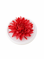 Natural Dahlia - Hand Pressed Flower Diffuser