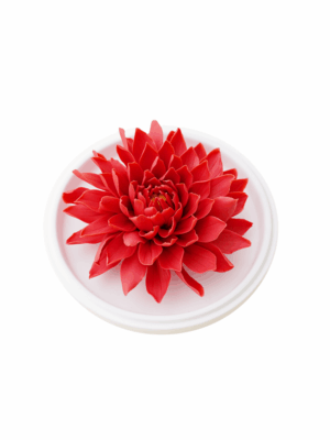 Natural Dahlia - Hand Pressed Flower Diffuser