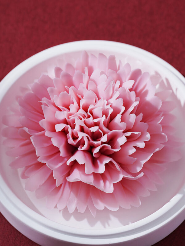 Natural Carnation - Hand Pressed Flower Diffuser