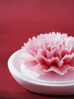 Natural Carnation - Hand Pressed Flower Diffuser