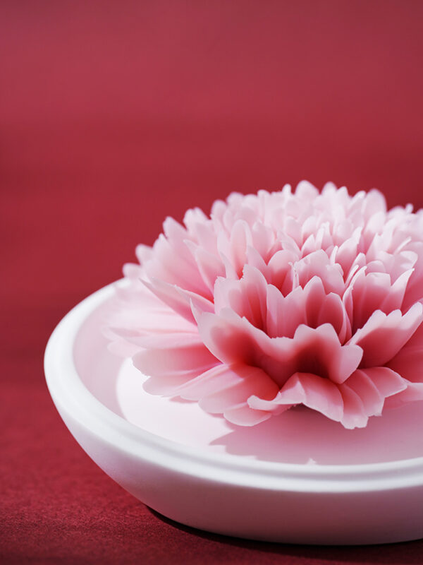 Natural Carnation - Hand Pressed Flower Diffuser