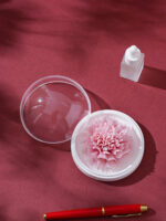 Natural Carnation - Hand Pressed Flower Diffuser