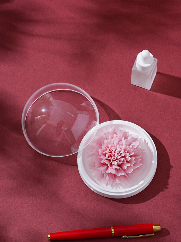 Natural Carnation - Hand Pressed Flower Diffuser