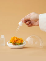 Natural Osmanthus-Scented Wax Cups and Incense Burners