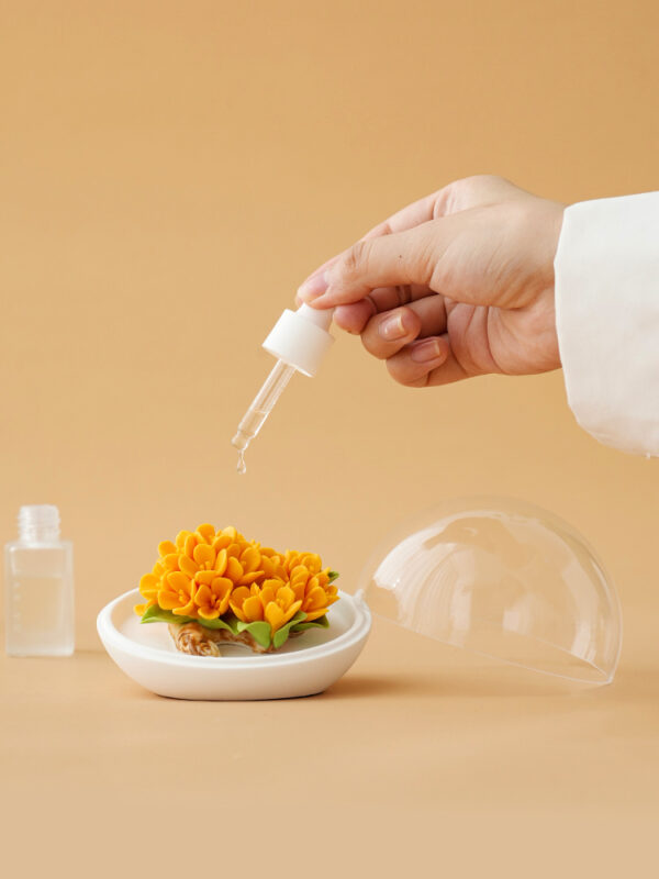 Natural Osmanthus-Scented Wax Cups and Incense Burners