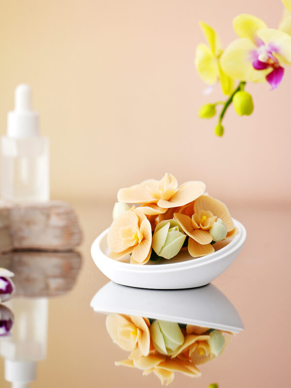 Natural Phalaenopsis-Hand Pressed Flower Diffuser-Orange