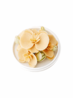 Natural Phalaenopsis-Hand Pressed Flower Diffuser-Orange