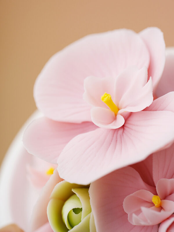 Natural Phalaenopsis-Hand Pressed Flower Diffuser-Pink