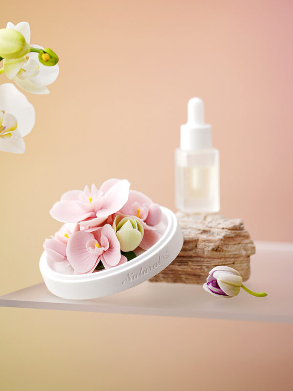 Natural Phalaenopsis-Hand Pressed Flower Diffuser-Pink