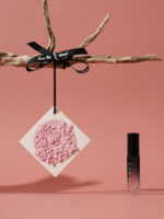 Natural SPRING BOATING IN THE SNOW - Gypsum Fragrance Diffuser Hanging Piece