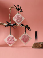 Natural SPRING BOATING IN THE SNOW - Gypsum Fragrance Diffuser Hanging Piece