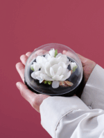 Natural Dual-Flower Incense Sticks Gift Set