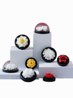 Natural Dual-Flower Incense Sticks Gift Set