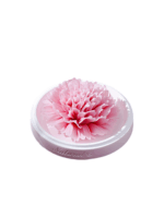 Natural Carnation - Hand Pressed Flower Diffuser