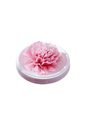 Natural Carnation - Hand Pressed Flower Diffuser