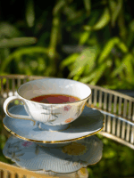 Lunar Chronicles 2-piece Cup Plate 200ml