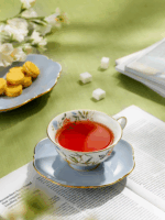 Lunar Chronicles 2-piece Cup Plate 200ml