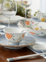 Lunar Chronicles 44-piece Dinnerware Set
