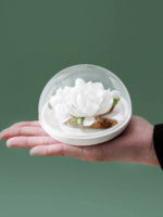 Natural White Magnolia