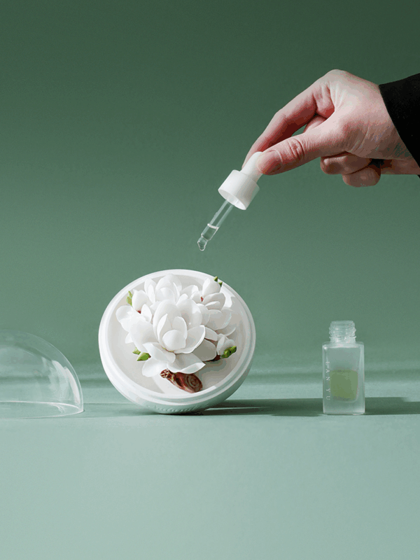 Natural White Magnolia