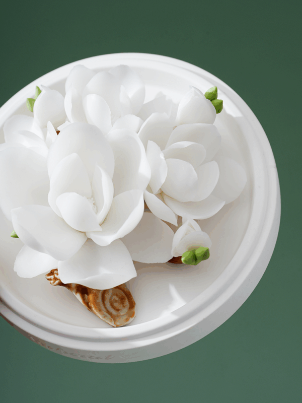 Natural White Magnolia