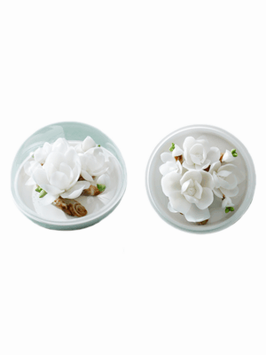 Natural White Magnolia