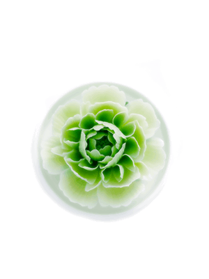 Natural Flowers in Full Bloom - Diffuser - Mint Green