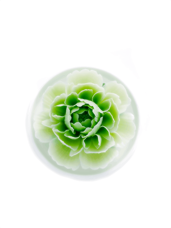 Natural Flowers in Full Bloom - Diffuser - Mint Green