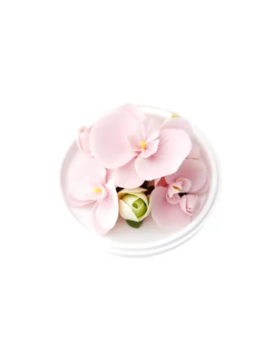 Natural Phalaenopsis-Hand Pressed Flower Diffuser-Pink