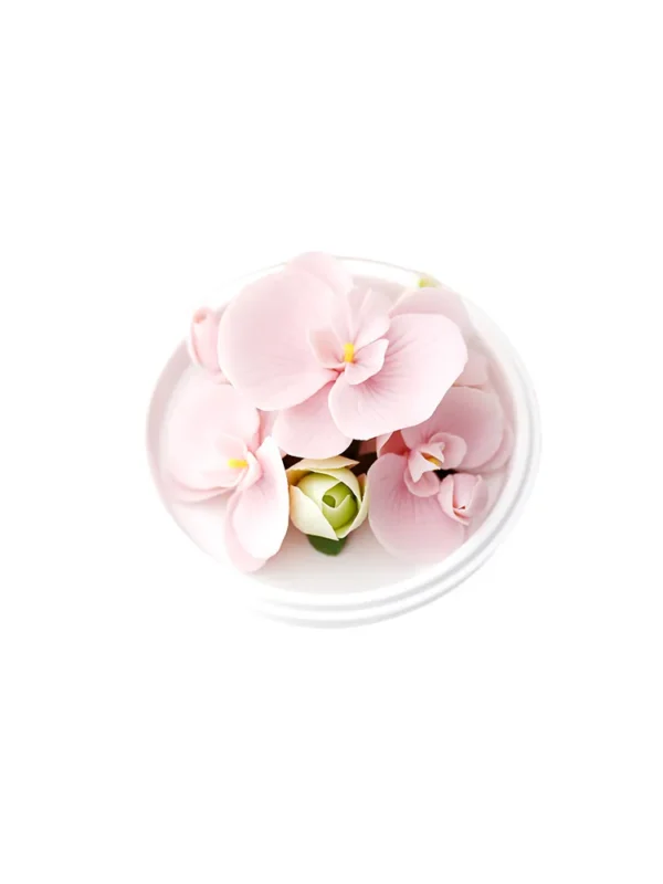 Natural Phalaenopsis-Hand Pressed Flower Diffuser-Pink