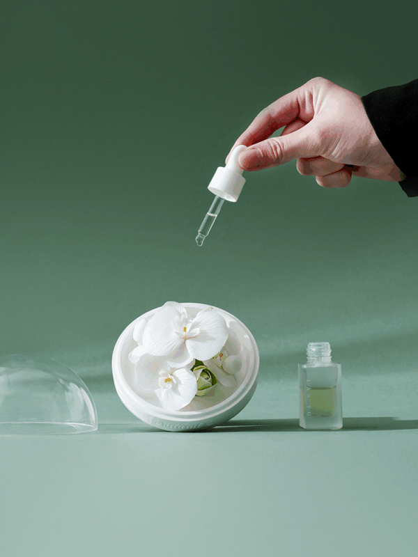 Natural Phalaenopsis