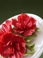 Natural Fire of the Forest