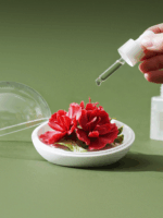 Natural Fire of the Forest