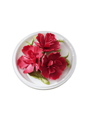 Natural Fire of the Forest